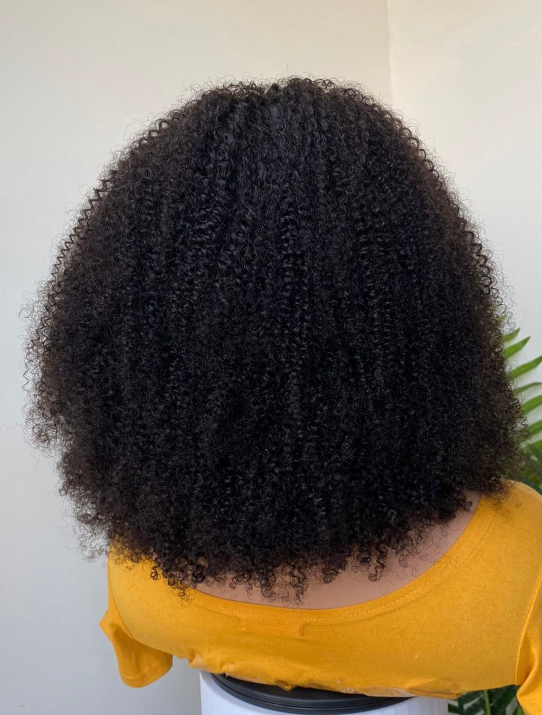 18 Inch HD lace kinky curly human hair wig